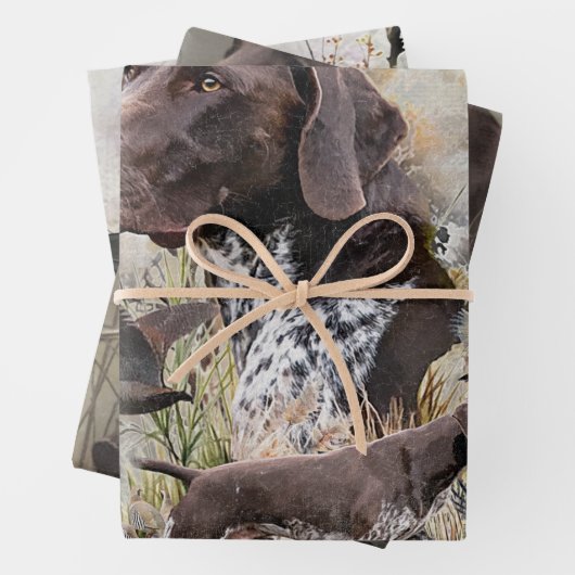 Duitse Shorthaired Pointers Inpakpapier Vel (In situ)