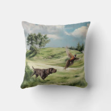 Duitse Shorthaired Pointers