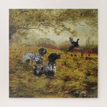 Duitse Shorthaired Pointers