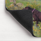 Duitse Shorthaired Pointers Muismat (Hoek)