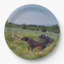 Duitse Shorthaired Pointers