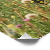 Duitse Shorthaired Pointers Perfect Poster (Hoek)