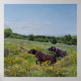 Duitse Shorthaired Pointers Poster