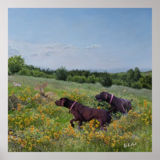 Duitse Shorthaired Pointers Poster (Voorkant)