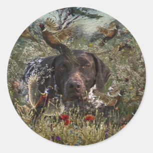 Duitse Shorthaired Pointers Ronde Sticker