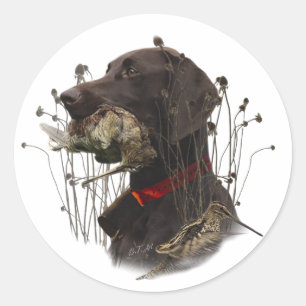 Duitse Shorthaired Pointers Ronde Sticker