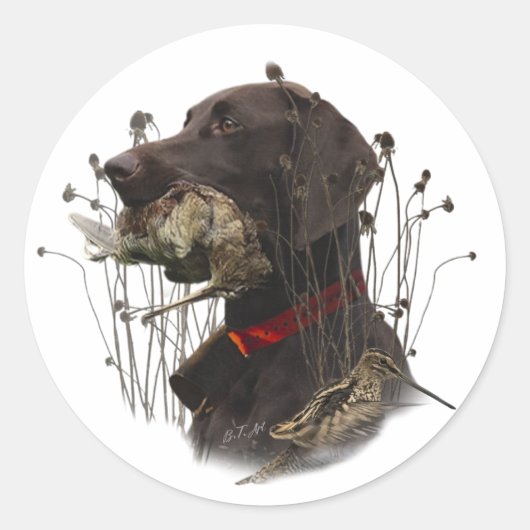 Duitse Shorthaired Pointers Ronde Sticker (Voorkant)