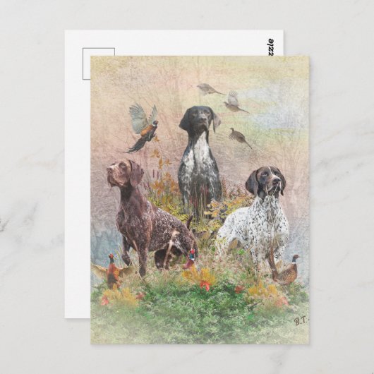 Duitse Shorthaired Pointers (SAP) Briefkaart (Voorkant / Achterkant)