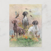 Duitse Shorthaired Pointers (SAP) Briefkaart (Voorkant)