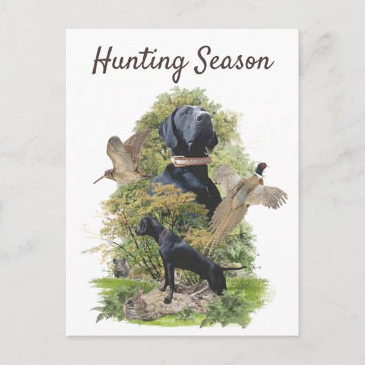 Duitse Shorthaired Pointers (SAP) Briefkaart (Voorkant)
