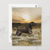 Duitse Shorthaired Pointers (SAP) Briefkaart (Voorkant / Achterkant)