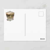 Duitse Shorthaired Pointers (SAP) Briefkaart (Achterkant)