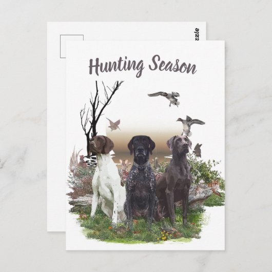 Duitse Shorthaired Pointers (SAP), een jachtfauna Briefkaart (Voorkant / Achterkant)