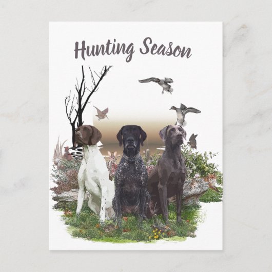 Duitse Shorthaired Pointers (SAP), een jachtfauna Briefkaart (Voorkant)
