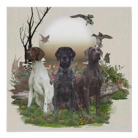 Duitse Shorthaired Pointers (SAP), een jachtfauna Perfect Poster (Voorkant)