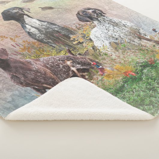 Duitse Shorthaired Pointers (SAP), een jachtfauna Sherpa Deken (3/4)