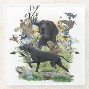 Duitse Shorthaired Pointers (SAP) Glazen Onderzetter