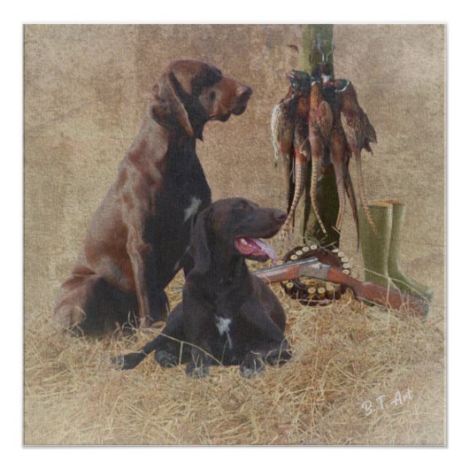 Duitse Shorthaired Pointers (SAP) Perfect Poster (Voorkant)