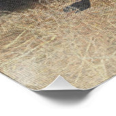 Duitse Shorthaired Pointers (SAP) Perfect Poster (Hoek)