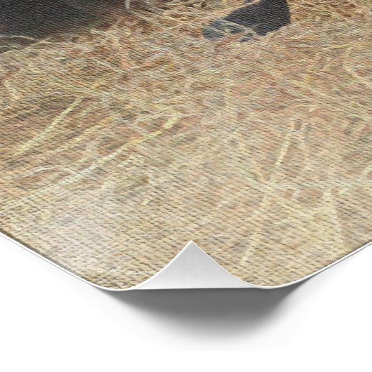 Duitse Shorthaired Pointers (SAP) Perfect Poster (Hoek)