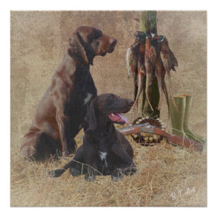 Duitse Shorthaired Pointers (SAP) Perfect Poster