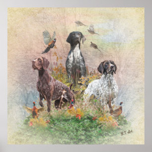 Duitse Shorthaired Pointers (SAP) Poster