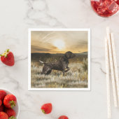 Duitse Shorthaired Pointers (SAP) Servet (Insitu)