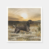 Duitse Shorthaired Pointers (SAP) Servet (Voorkant)