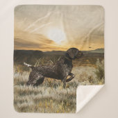 Duitse Shorthaired Pointers (SAP) Sherpa Deken (Voorkant)