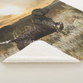 Duitse Shorthaired Pointers (SAP) Sherpa Deken (3/4)