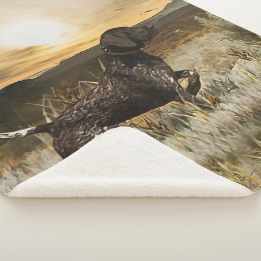 Duitse Shorthaired Pointers (SAP) Sherpa Deken (3/4)