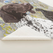 Duitse Shorthaired Pointers (SAP) Sherpa Deken (3/4)