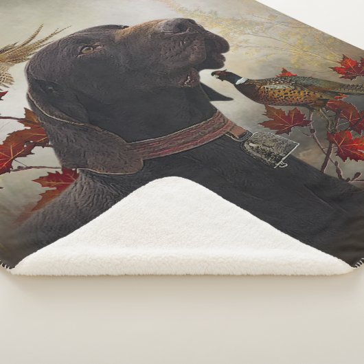 Duitse Shorthaired Pointers (SAP) Sherpa Deken (3/4)