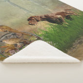 Duitse Shorthaired Pointers (SAP) Sherpa Deken (3/4)