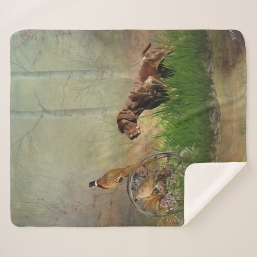 Duitse Shorthaired Pointers (SAP) Sherpa Deken (Voorkant (horizontaal))