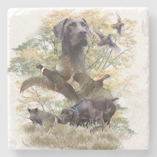 Duitse Shorthaired Pointers (SAP) Stenen Onderzetter (Voorkant)