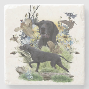 Duitse Shorthaired Pointers (SAP) Stenen Onderzetter