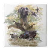 Duitse Shorthaired Pointers (SAP) Tegeltje (Voorkant)