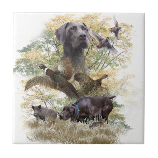 Duitse Shorthaired Pointers (SAP) Tegeltje (Voorkant)