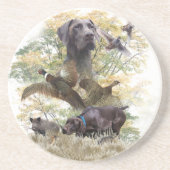 Duitse Shorthaired Pointers (SAP) Zandsteen Onderzetter (Voorkant)