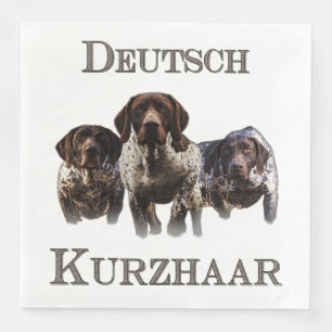 Duitse Shorthaired Pointers Servet
