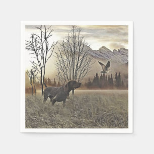 Duitse Shorthaired Pointers Servet