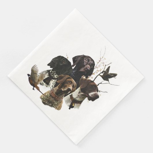 Duitse Shorthaired Pointers Servet (Hoek)