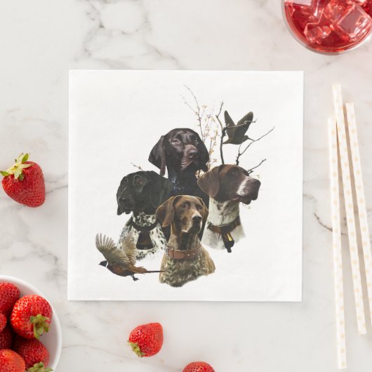 Duitse Shorthaired Pointers Servet (Insitu)