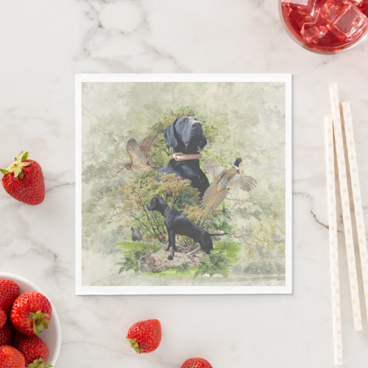 Duitse Shorthaired Pointers Servet (Insitu)