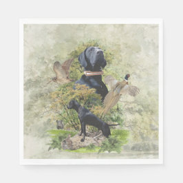 Duitse Shorthaired Pointers Servet