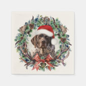 Duitse Shorthaired Pointers Servet (Voorkant)