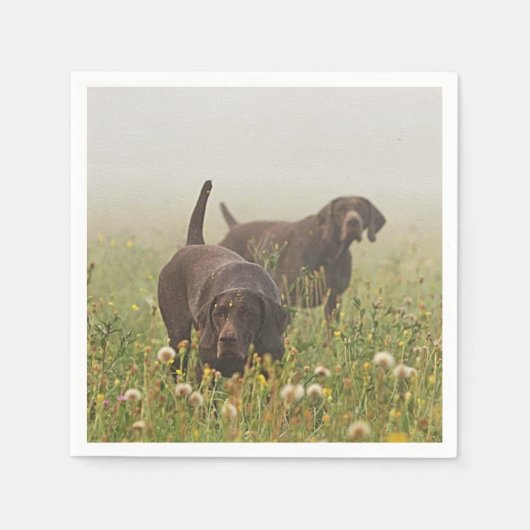 Duitse Shorthaired Pointers Servet (Voorkant)