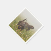 Duitse Shorthaired Pointers Servet (Hoek)