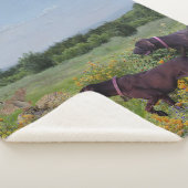 Duitse Shorthaired Pointers Sherpa Deken (3/4)